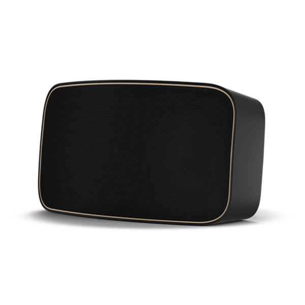 Dali Gardian OW 6 Black